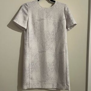 Aritzia Babaton PATRICIO dress